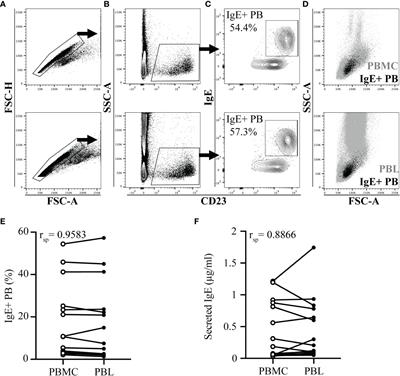 IgE+ plasmablasts predict the onset of clinical allergy